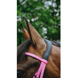 Briglia endurance Norton Pop