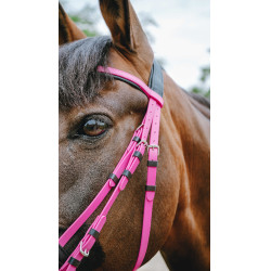 Briglia endurance Norton Pop