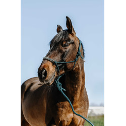 Capezza etologica + lunghina Norton Deco