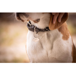 Collare per cane Penelope Billie Nero / lurex