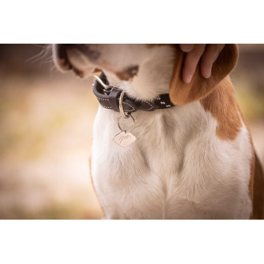 Collare per cane Penelope Billie Nero / lurex Collare per cane Penelope Billie Nero / lurex