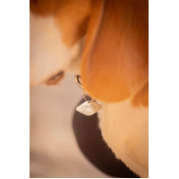 Collare per cane Penelope Billie Nero / lurex Collare per cane Penelope Billie Nero / lurex