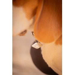 Collare per cane Penelope Billie Nero / lurex