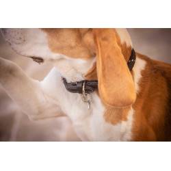 Collare per cane Penelope Billie Nero / lurex