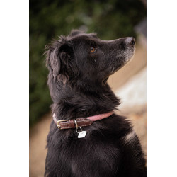 Collare per cane Penelope Billie Rosa / lurex