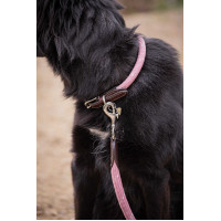 Collare per cane Penelope Billie Rosa / lurex