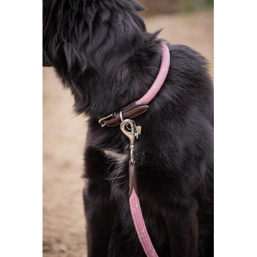 Collare per cane Penelope Billie Rosa / lurex