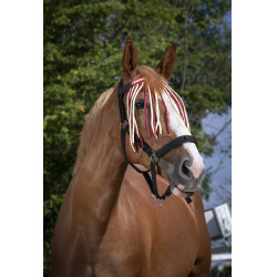 Frontal scaccia-mosche Norton Rosso / écru