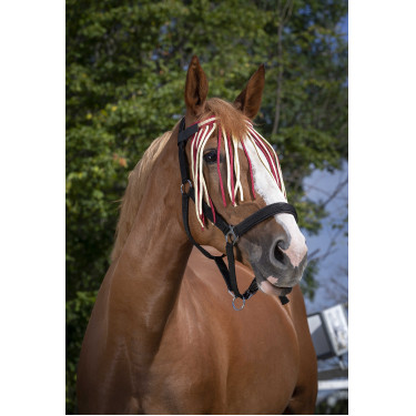 Frontal scaccia-mosche Norton Rosso / écru