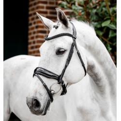 Briglia Horseware Diamante con chiudibocca flash Nero / nero