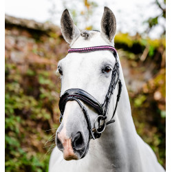 Briglia Horseware Diamante con chiudibocca flash Nero / rosa