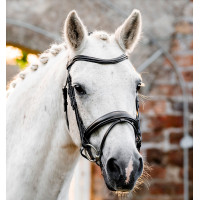 Briglia da pony Horseware Flash Nero Briglia da pony Horseware Flash Nero