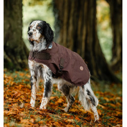 Coperta per cane Horseware Heritage Newmarket Marrone / blu navy witney Coperta per cane Horseware Heritage Newmarket Marrone / blu navy witney