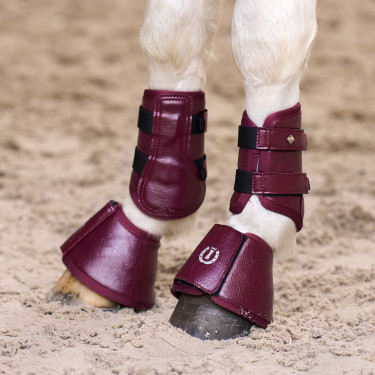 Ghette Imperial Riding Rebel Fico Viola