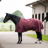 Coperta da paddock Imperial Riding Basic senza copricollo 300 g Rosso profondo