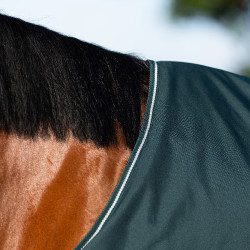 Coperta da paddock Imperial Riding Basic senza copricollo 300 g Verde