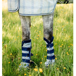 Ghette anti-mosche Horseware® Newmarket Marine witney Blu marino Ghette anti-mosche Horseware® Newmarket Marine witney Blu marino