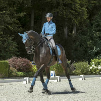 Tappetino LeMieux Suede Dressage Square Blu ghiaccio