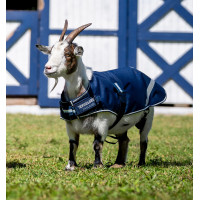 Coperta Horseware per capra 100 g Marine witney Blu marino