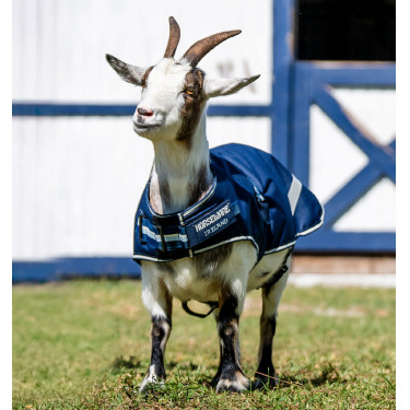 Coperta Horseware per capra 100 g Marine witney Blu marino