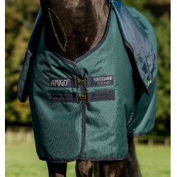 Coperta Horseware Amigo Ripstop 900D Plus Pony Turnout 0g Verde dinastia / blu marine / argento