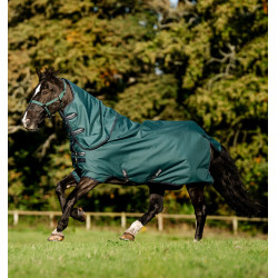 Coperta Horseware Amigo Ripstop 900D Plus Pony Turnout 0g Verde dinastia / blu marine / argento