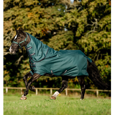 Coperta Horseware Amigo Ripstop 900D Plus Pony Turnout 0g Verde dinastia / blu marine / argento