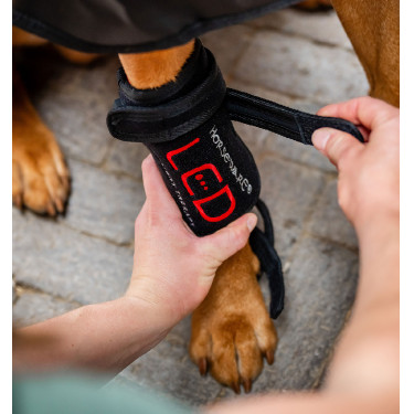 Ghette terapeutiche per cane Horseware a luce LED rossa