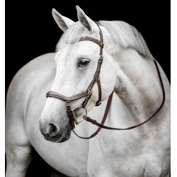 Briglia Horseware Micklem Deluxe Competition Havana scuro Marrone