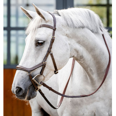 Briglia Horseware Micklem Deluxe Competition Havana scuro Marrone