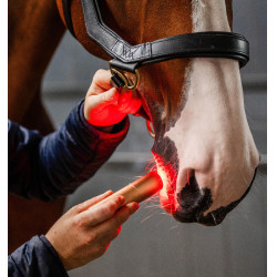 Penna terapeutica Horseware a luce LED rossa Nero / nero