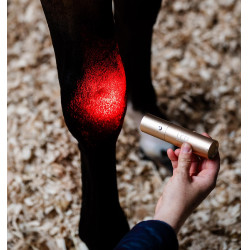 Penna terapeutica Horseware a luce LED rossa Nero / nero