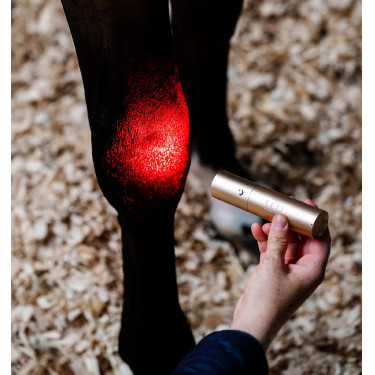 Penna terapeutica Horseware a luce LED rossa Nero / nero