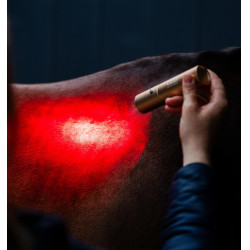 Penna terapeutica Horseware a luce LED rossa Nero / nero