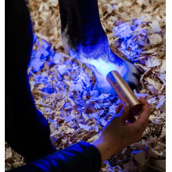 Penna terapeutica Horseware a luce LED rossa Nero / nero