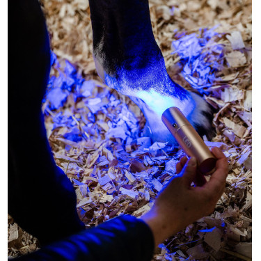 Penna terapeutica Horseware a luce LED rossa Nero / nero