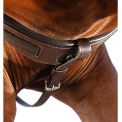 Pettorale Horseware Micklem con martingala Marrone