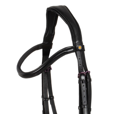 Briglia anatomica Equestro in pelle Nero