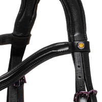 Briglia anatomica Equestro in pelle Nero