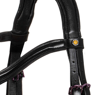 Briglia anatomica Equestro in pelle Nero