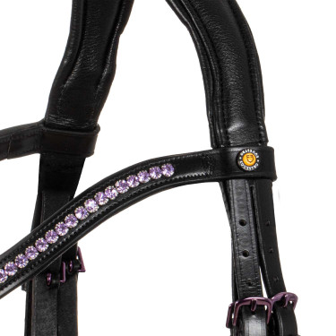 Briglia anatomica Equestro in pelle Nero