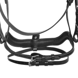 Briglia anatomica Equestro con capezzina curvata Nero