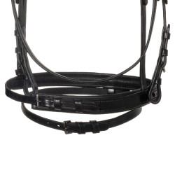 Briglia inglese Equestro nera in pelle Nero