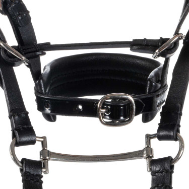 Filet in pelle Equestro per cavallo giocattolo con borchie argentate Nero