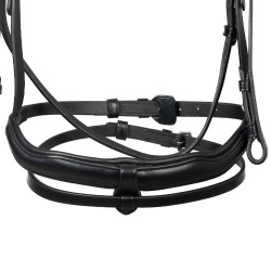 Briglia Equestro con capezzina anatomica Nero