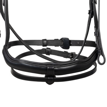 Briglia Equestro con capezzina anatomica Nero