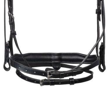 Briglia Equestro con capezzina anatomica Nero