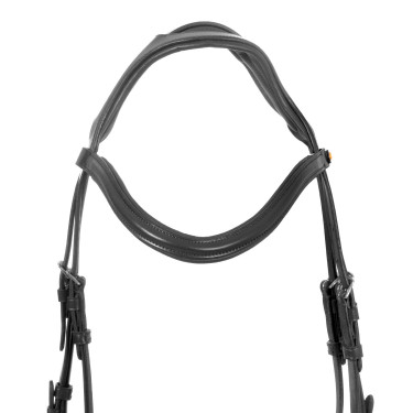 Briglia Equestro con capezzina semplice e testiera larga e curvata Nero