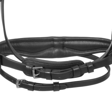 Briglia Equestro con capezzina semplice e testiera larga e curvata Nero