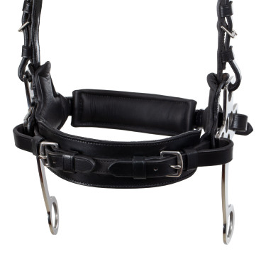 Filet hackamore Supreme Nero